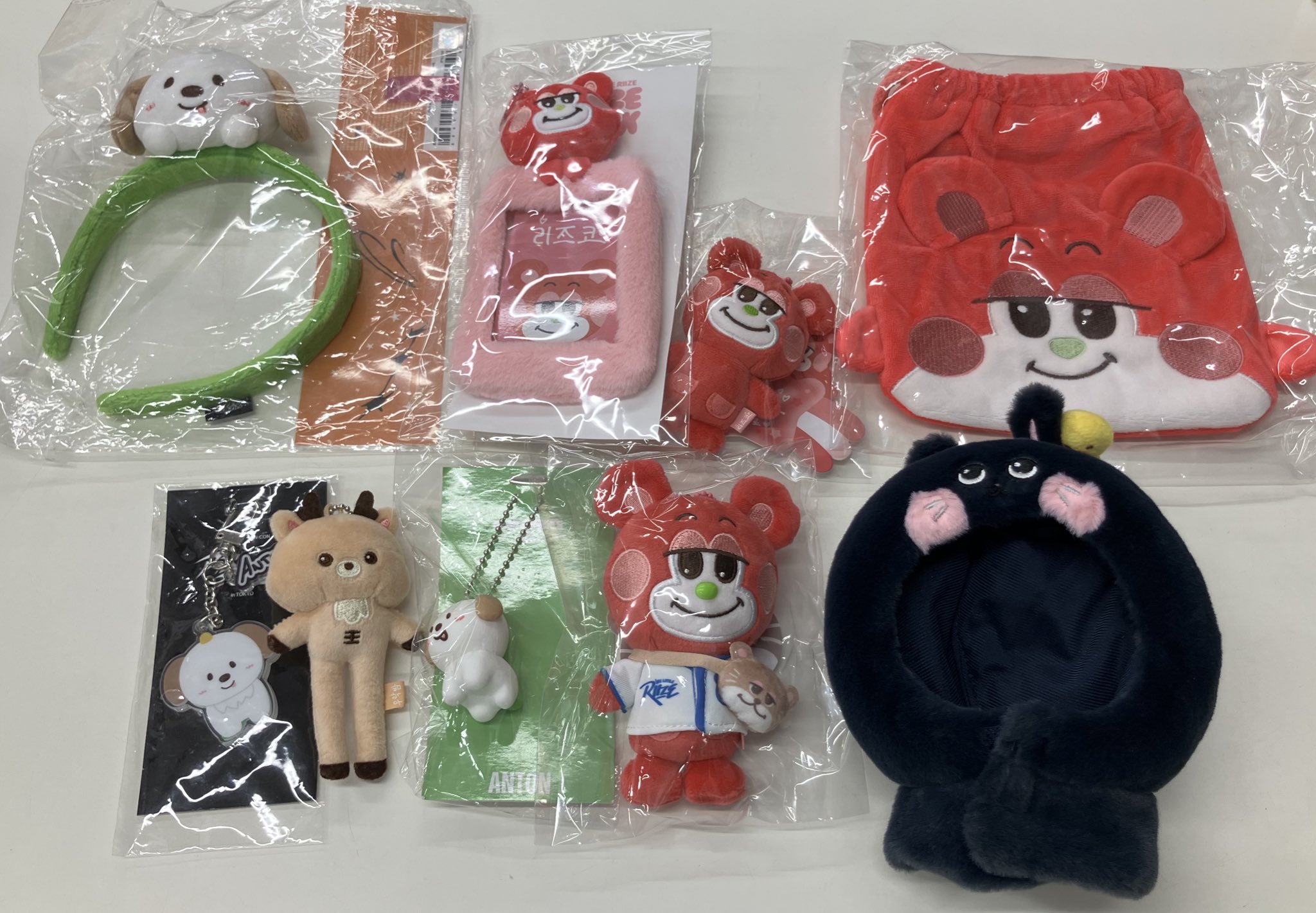 RIIZE リズコ フォトカードフォルダー トレカケース RIIZE ライズ