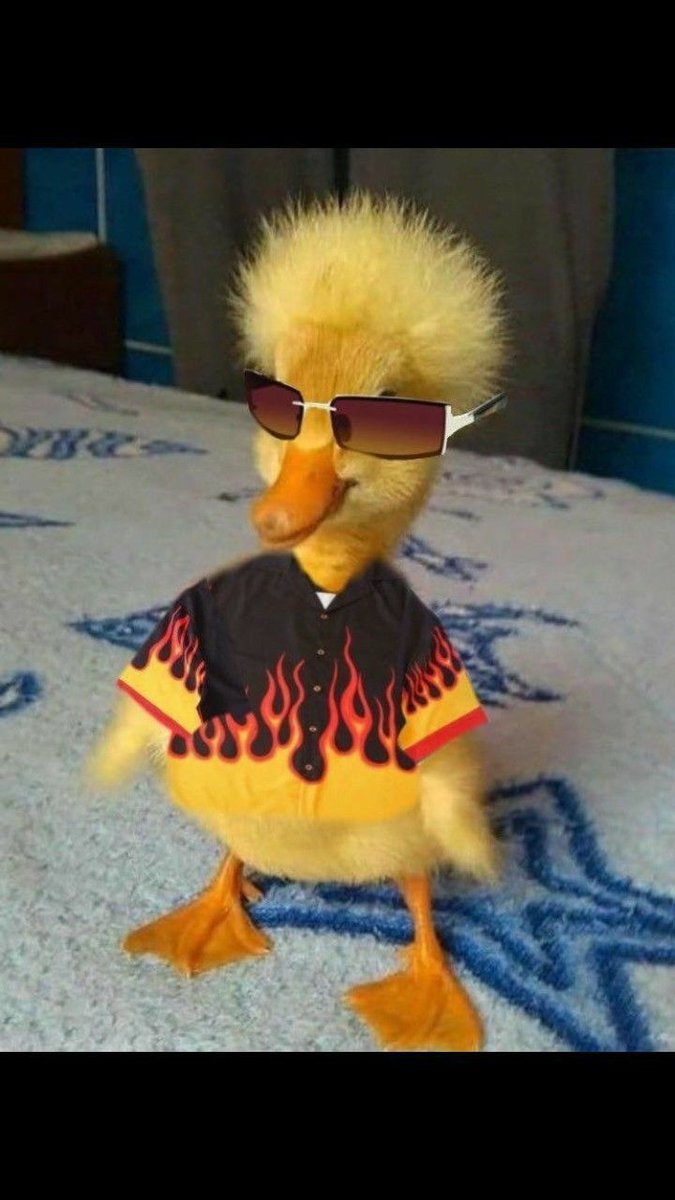 My own no reach like this but ...
gQuack 
<a href="/HeyElsaAI/">HeyElsa</a> <a href="/wallchain_xyz/">Wallchain Quacks</a>