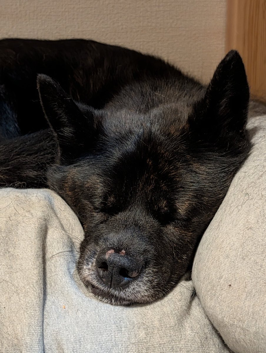 守りたいこの寝顔