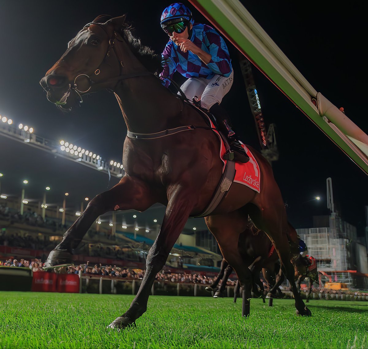 tabcomau's tweet image. That was special! Pride Of Jenni knocks off Treasurethe Moment! She’s so back 🙌