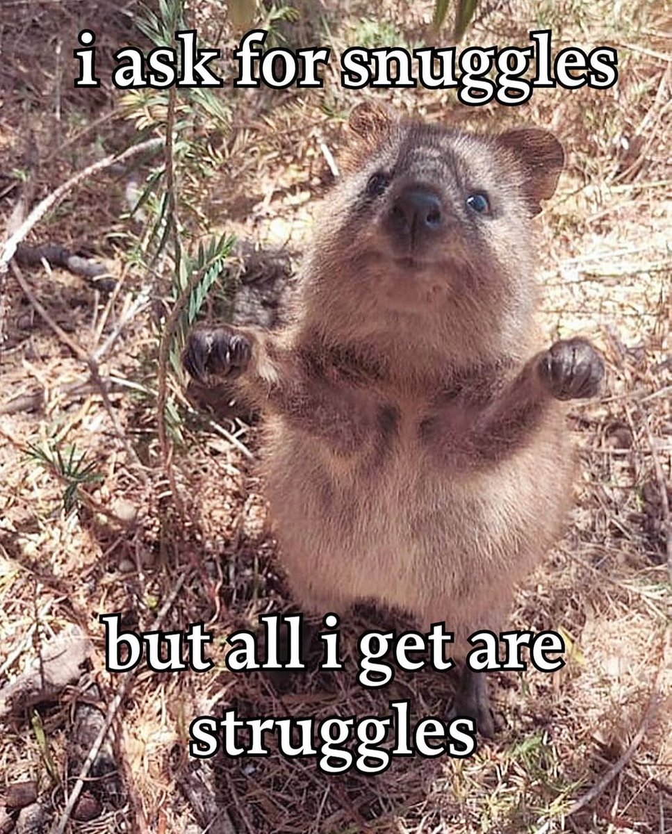 Maarten 🍿 ☻ (@crackykun) on Twitter photo 