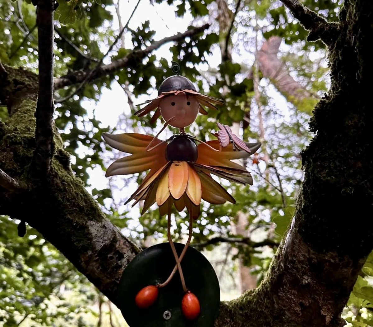 LakeHotel's tweet photo. Visiting with family this Midterm break? Why not take a wander along our magical fairy trail and see how many fairies you can find hiding in the enchanting forrest?🧚🌳🍄✨

#fairytrail #fairies #familyholiday #midtermbreak #lakehotelkillarney #lovekillarney #experiencekerry https://t.co/lmgXOzyPDK