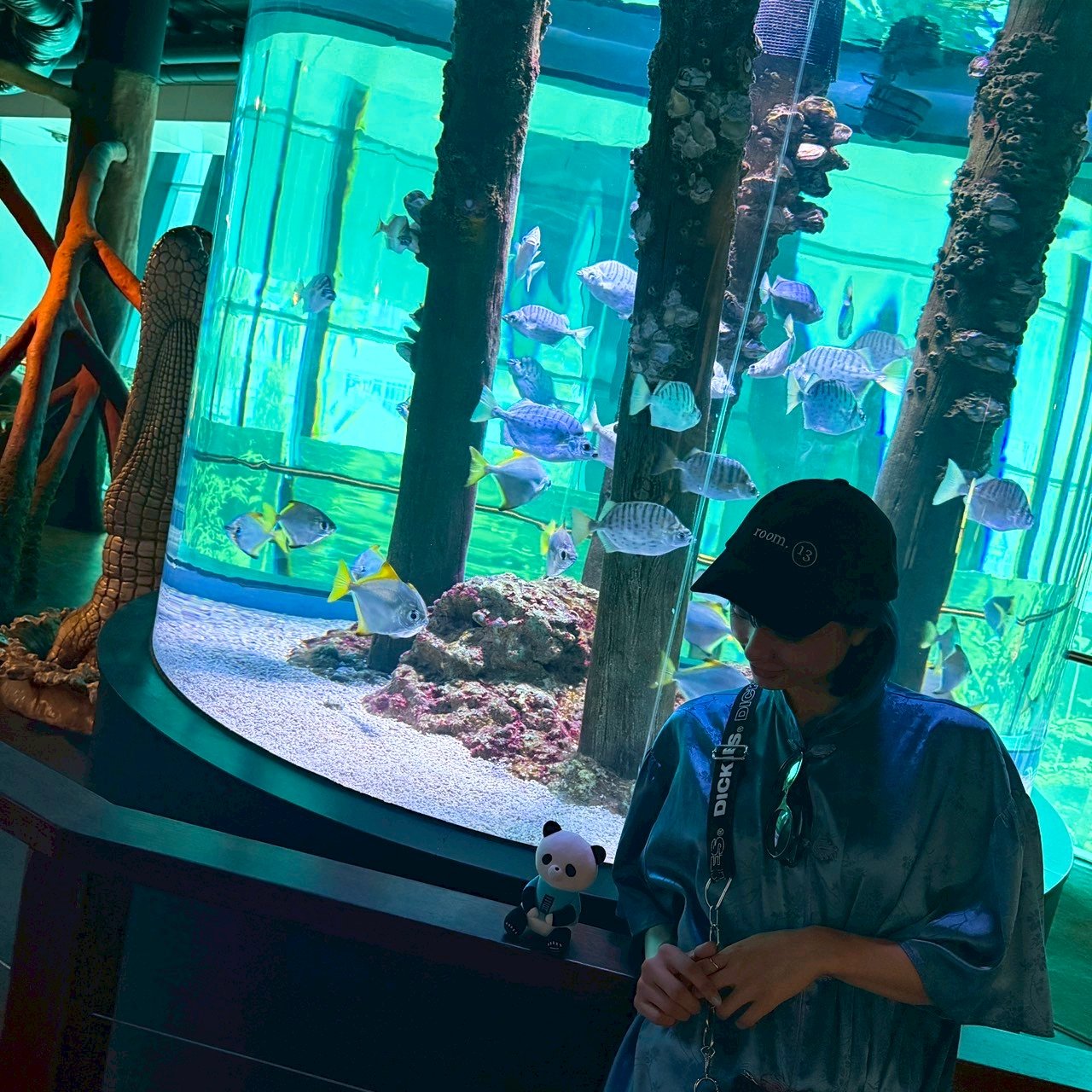 みあ(三月のパンタシア) (@3_phantasia) / X