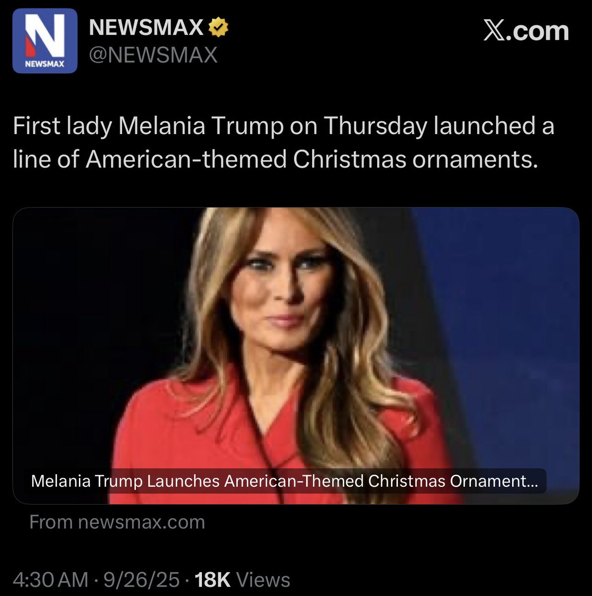 RonFilipkowski's tweet image. Patriotic Melania Christmas tree ornaments for the bargain price of $90.