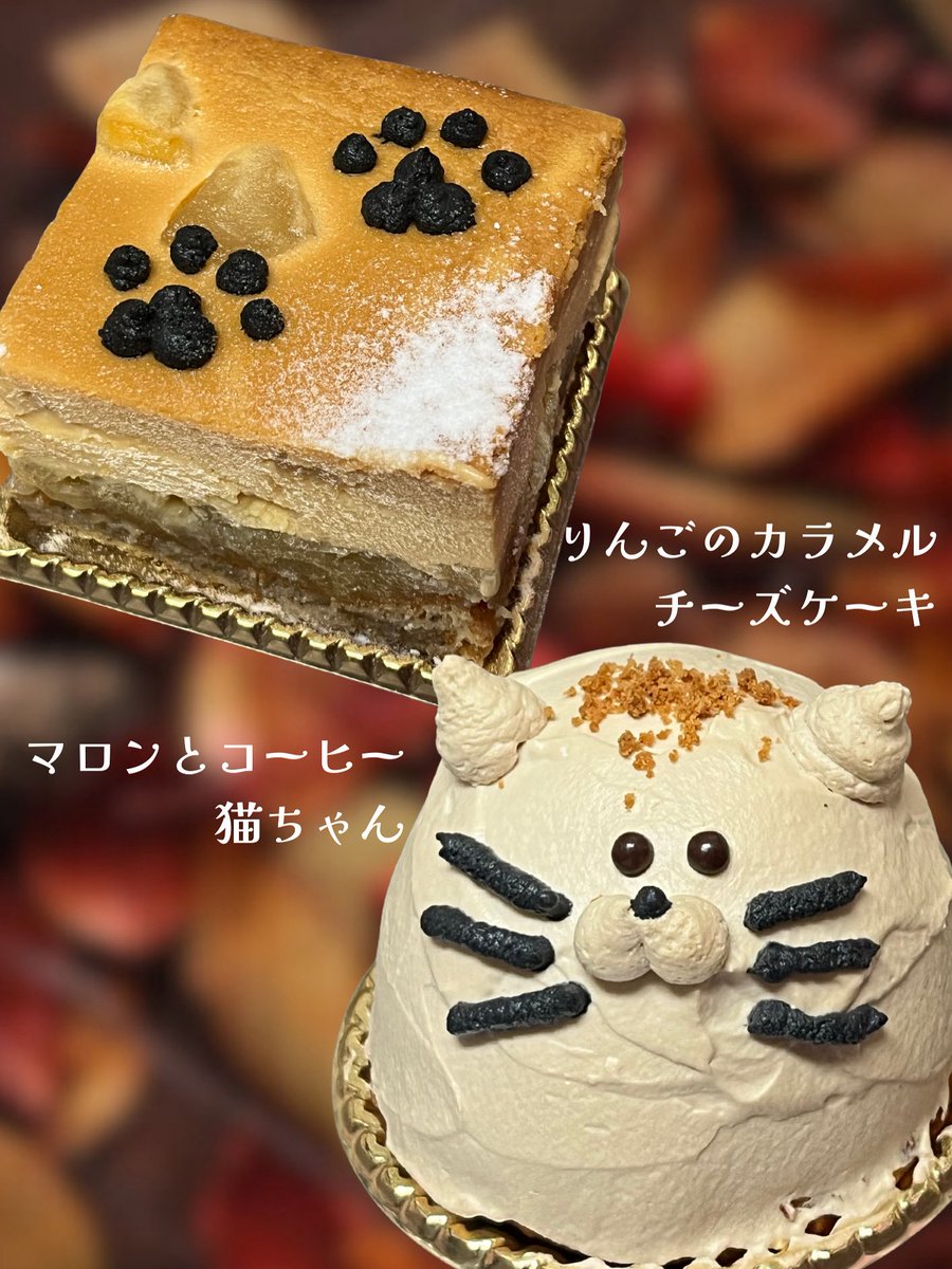 Gallery Cafe&Bar 猫もしゃくしも on X: 