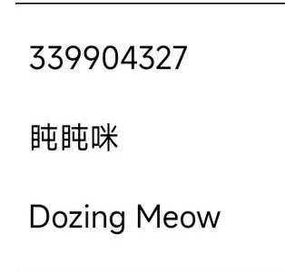 JING YUAN FINALLY HAS A CAT CAKE FORM AND HE’S CALLED DOZING MEOW