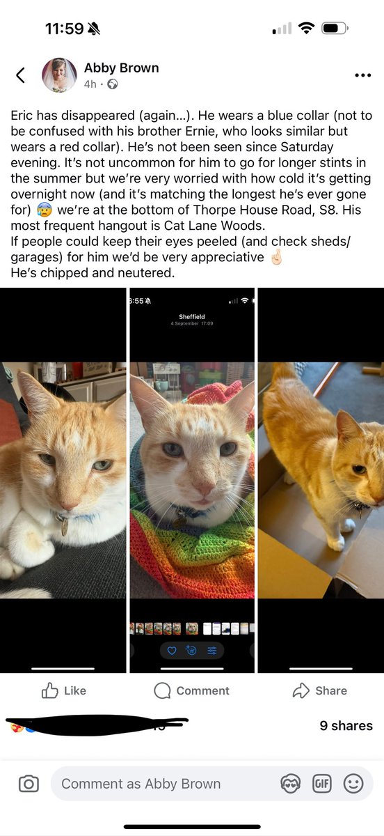 the_only_abi's tweet image. Eric has disappeared. I’m desperately hoping stuck somewhere rather than the alternative. If there’s anyone local (Sheffield, S8), I’d appreciate it if you could retweet this please 🤞🏻 #CatsofTwittter #Sheffield #HelpSheffield