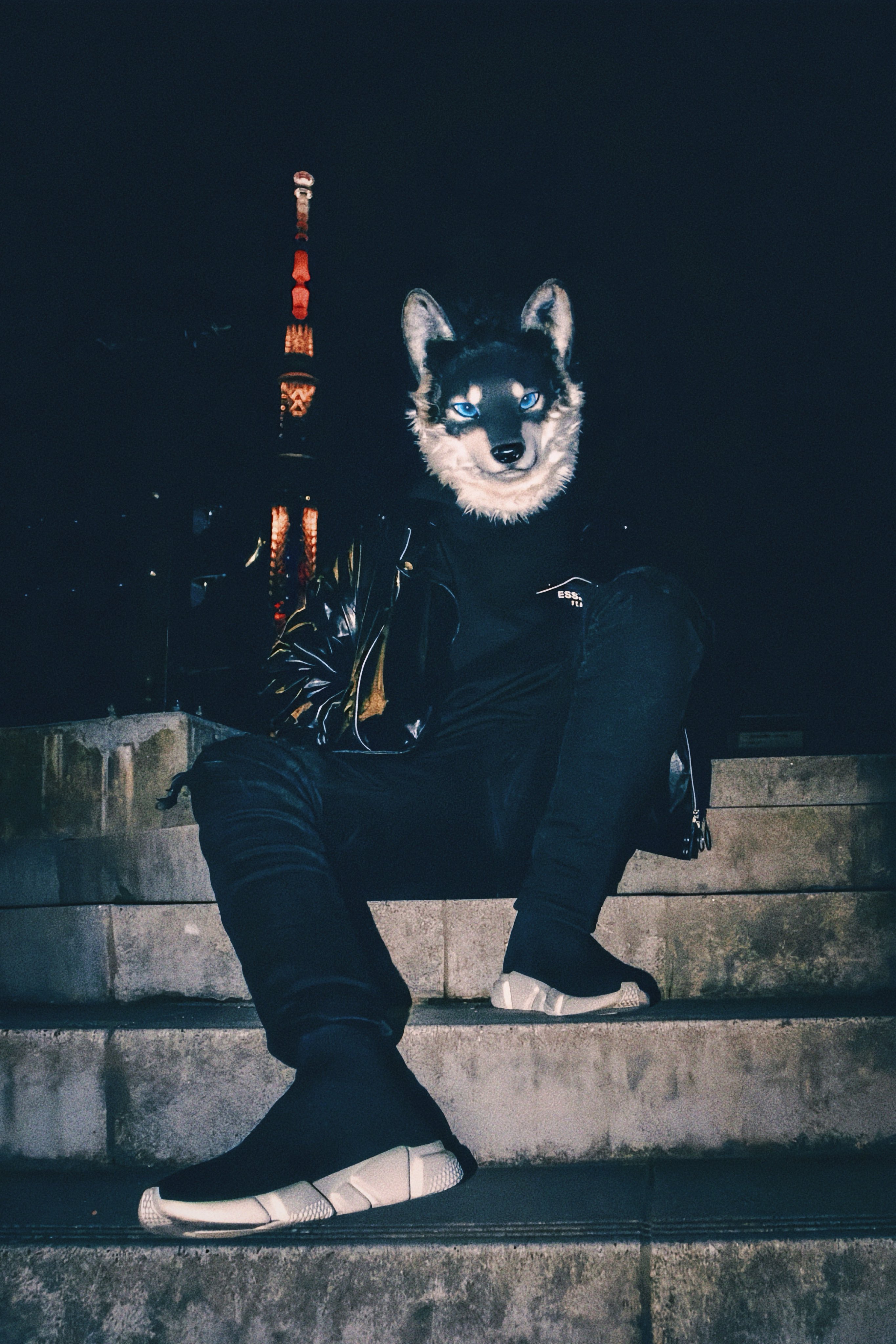 Kohaku 琥珀🔜🗼🇯🇵🔜🇹🇼 (@kohakuwolf) / X