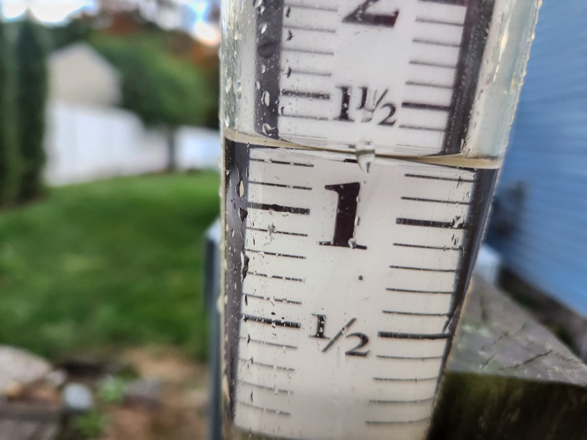 Finally, a nice soaking rain, 1.25 inches