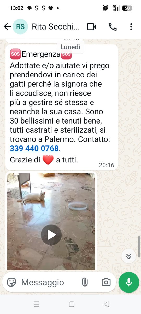 EMERGENZA 🆘🙏🙏♥️
AIUTATE E/O ADOTTATE DEI GATTI, LA SIGNORA CHE LI ACCUDISCE, NON RIESCE PIÙ A GESTIRE SE STESSA E NEANCHE LA SUA CASA.🙏🙏🙏🙏🆘🆘🙏🙏🙏🆘
339 440 0768
GRAZIE A TUTTI♥️