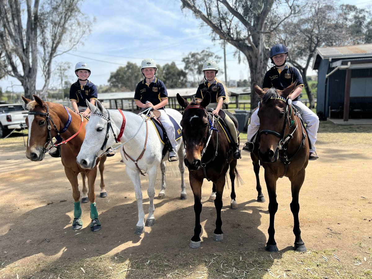 Merriwa Central School tweet media
