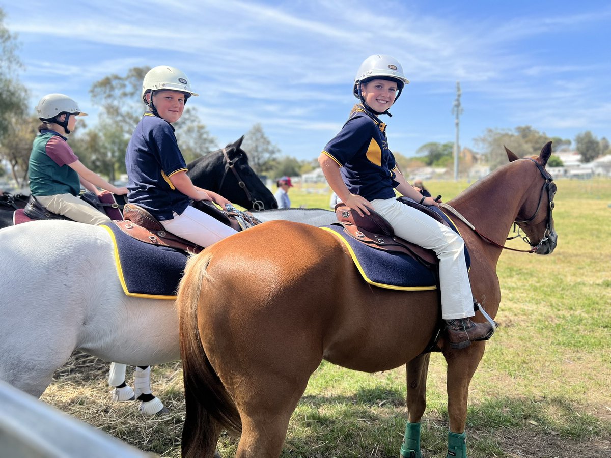 Merriwa Central School tweet media