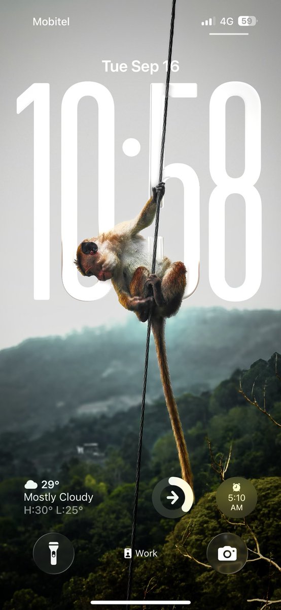 පිටසක්වල ලොක්කා 👽/ aka Alchemist 👾 tweet media