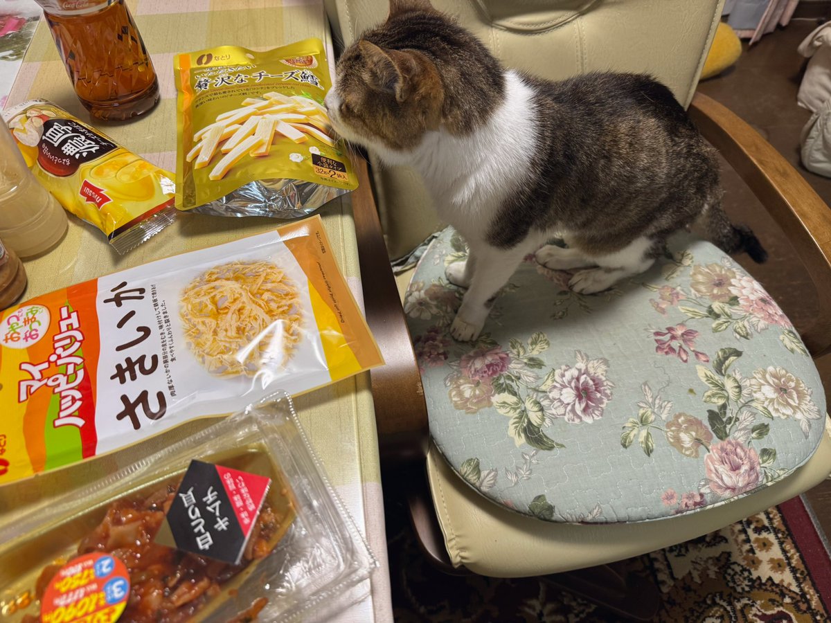 さかな　9/1 お魚キャッチ ストレート ブラック SmileShip