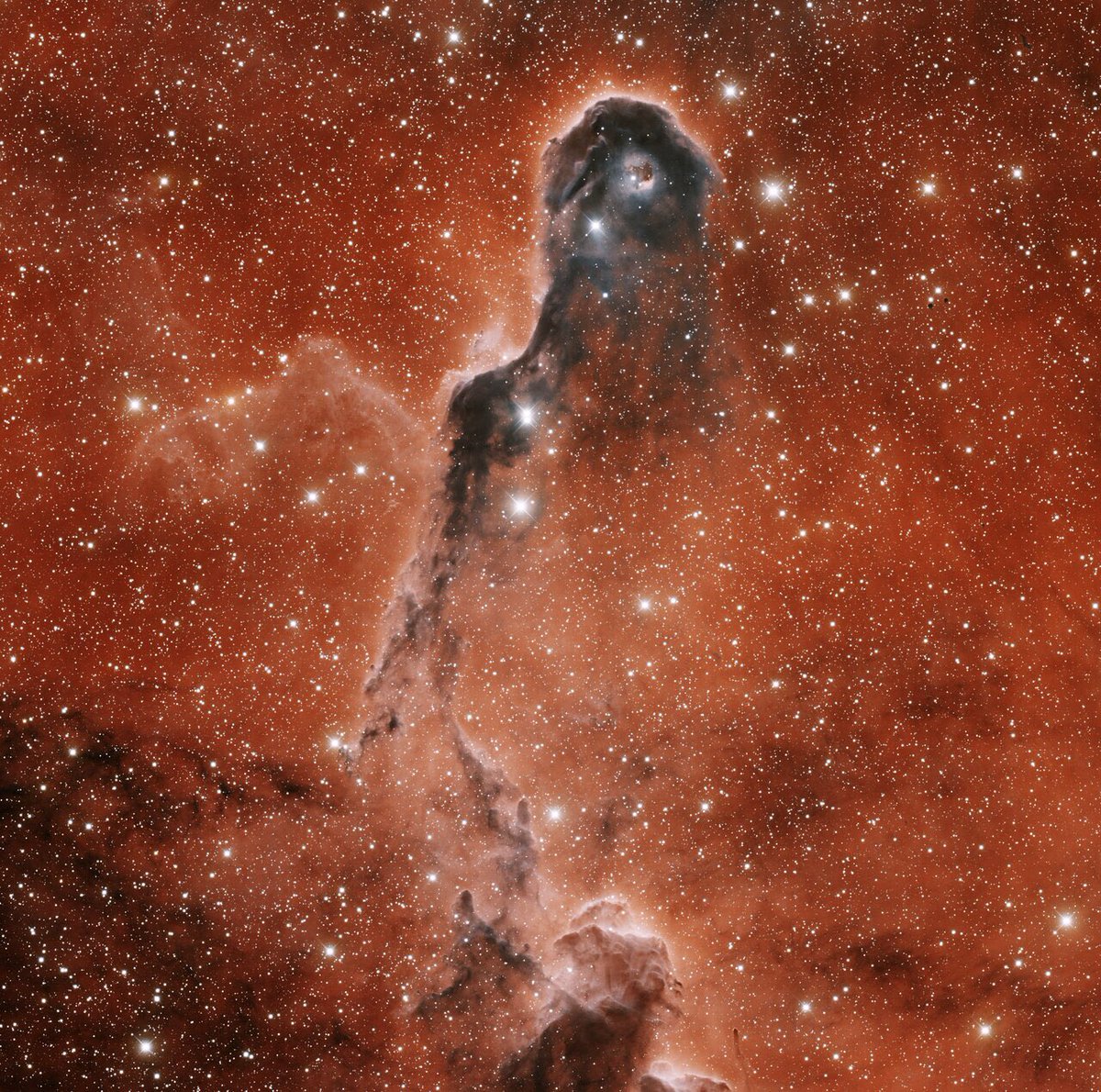 astrophysica_'s tweet photo. The Elephant Trunk Nebula
Credit:
T.A. Rector (University of Alaska Anchorage) and H. Schweiker (WIYN and NOIRLab/NSF/AURA) https://t.co/B4X8XsyVXO