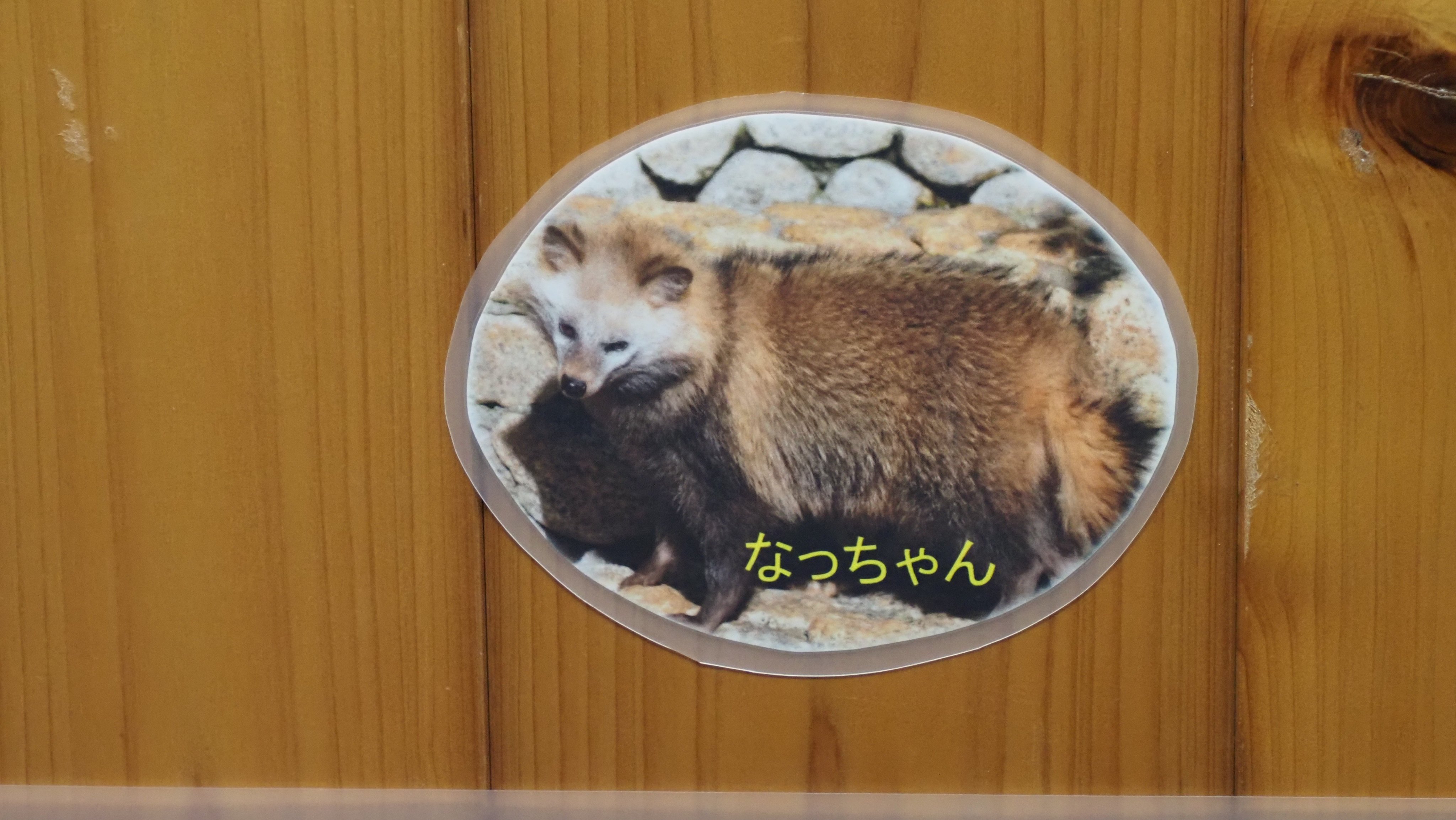 六/写真 on X: 