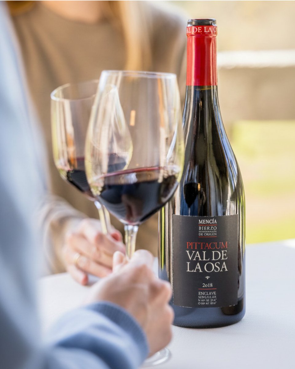 El lugar ideal existe, y se disfruta mejor con #ValdelaOsa.

Un viaje al ❤️ del #Bierzo 🍷
.
.
#GrupoTerrasGauda #SomosTerrasGauda #BodegasPittacum #Bierzo #Bierzowine #menciawine #vino #wine #winemoments #winelovers #winewinewine #winelife #wineoftheday