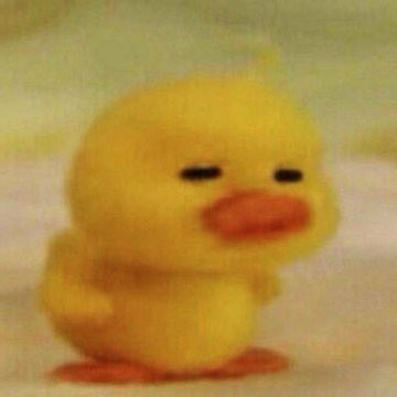 for82sy's tweet image. 🐤