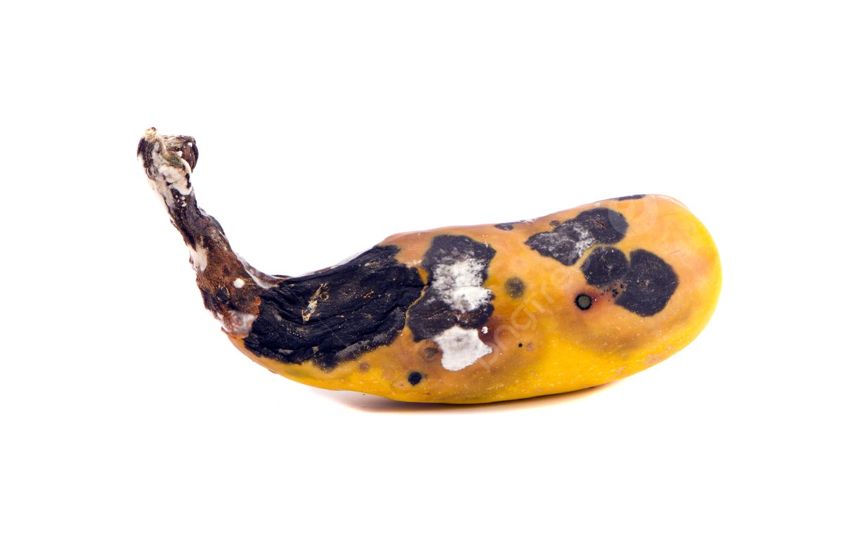 На поминки Тиграна Бобровича Кеосаяна

send.monobank.ua/jar/2VMer3bx1u