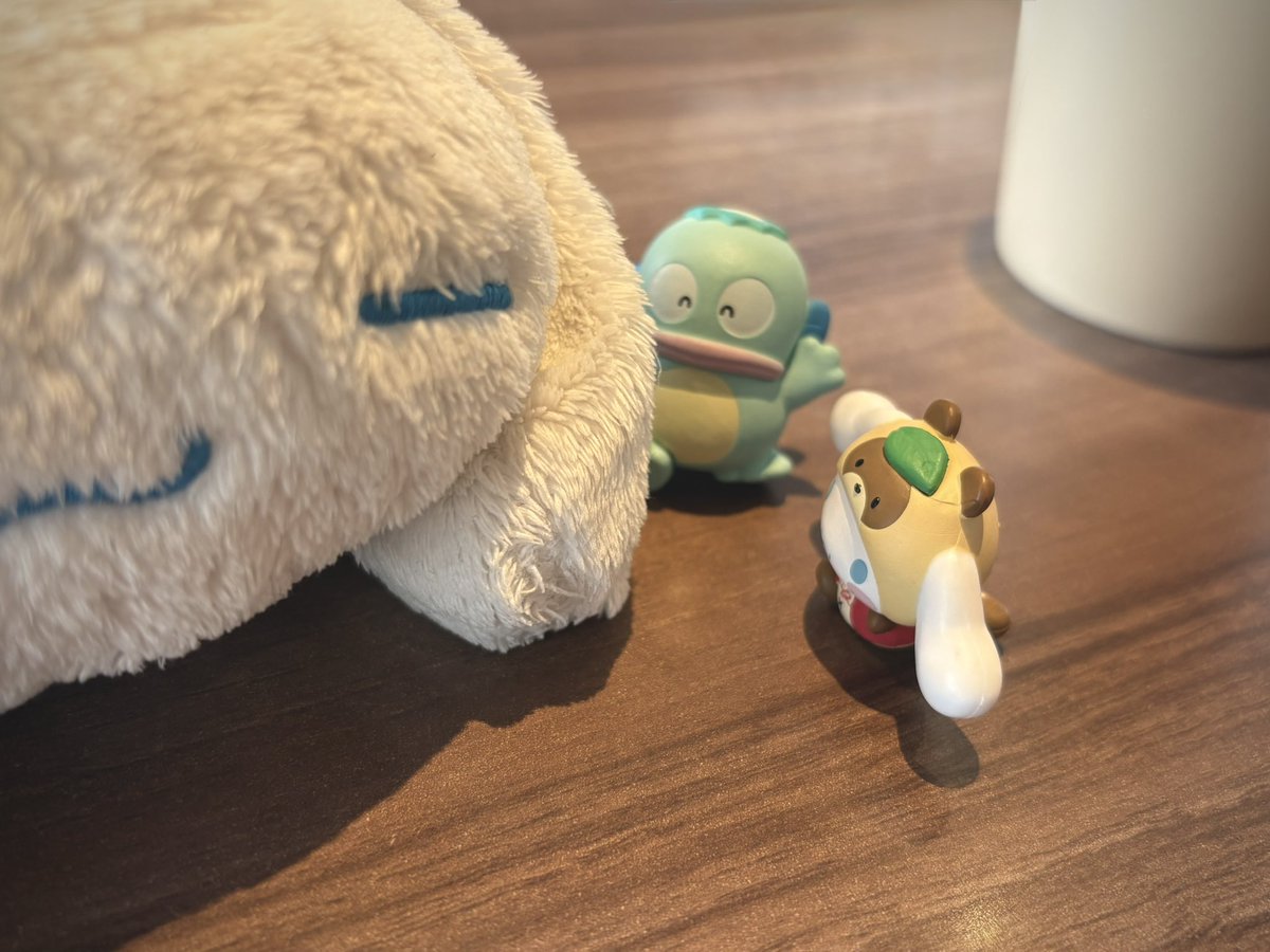 シナモンちゃん 👾 かまってほしそうなシナモン💙 シナモロール かまってBIG