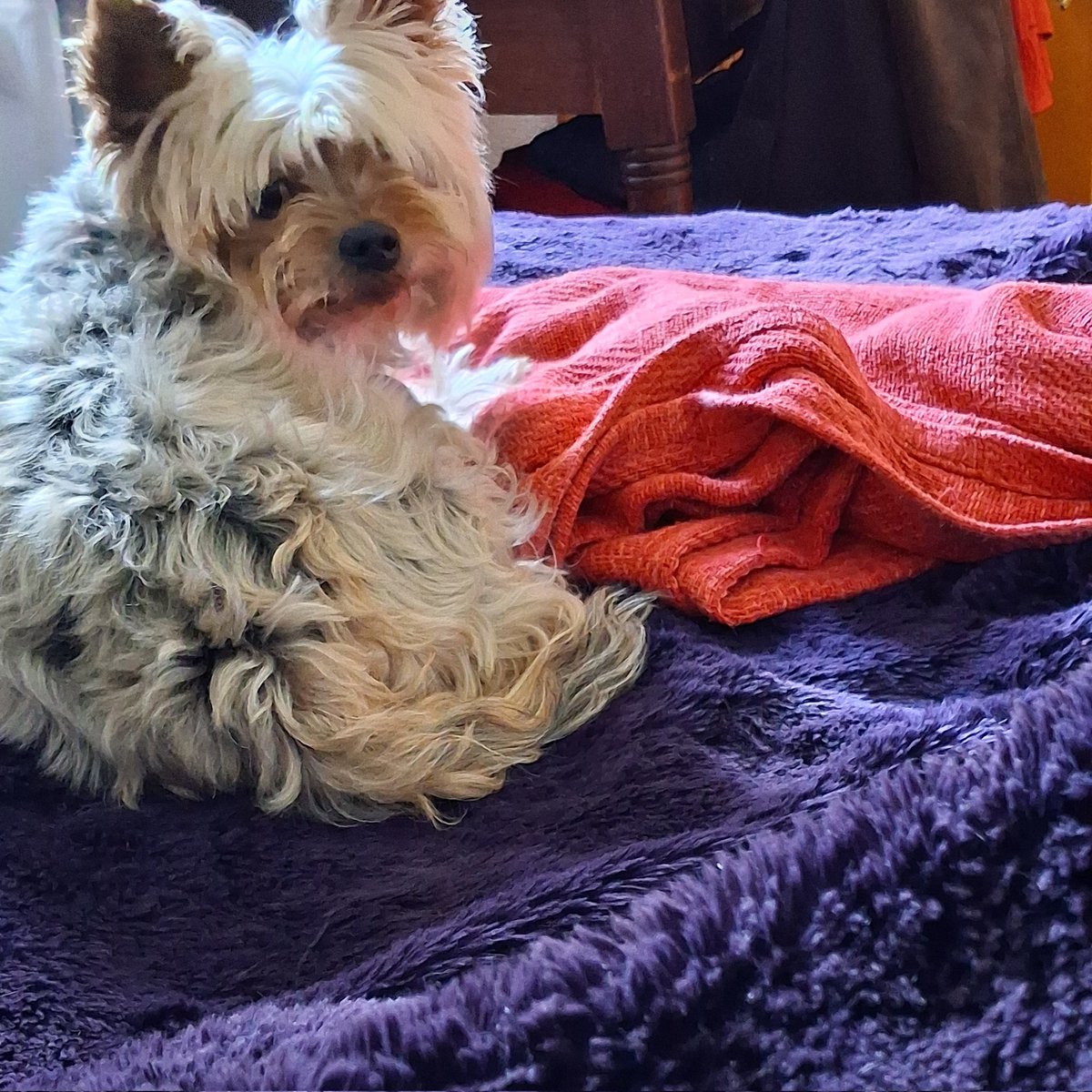 Centro_Meta's tweet image. #NuevaFotoDePerfil