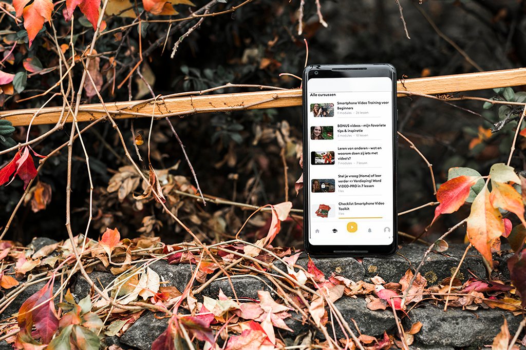 🍂 Herfstweekend! Perfect om je smartphone te pakken en de kleuren vast te leggen. 🎥
Ontdek tips &amp; tricks via onze Online Smartphone Video Training 👉 newmediabrains.com