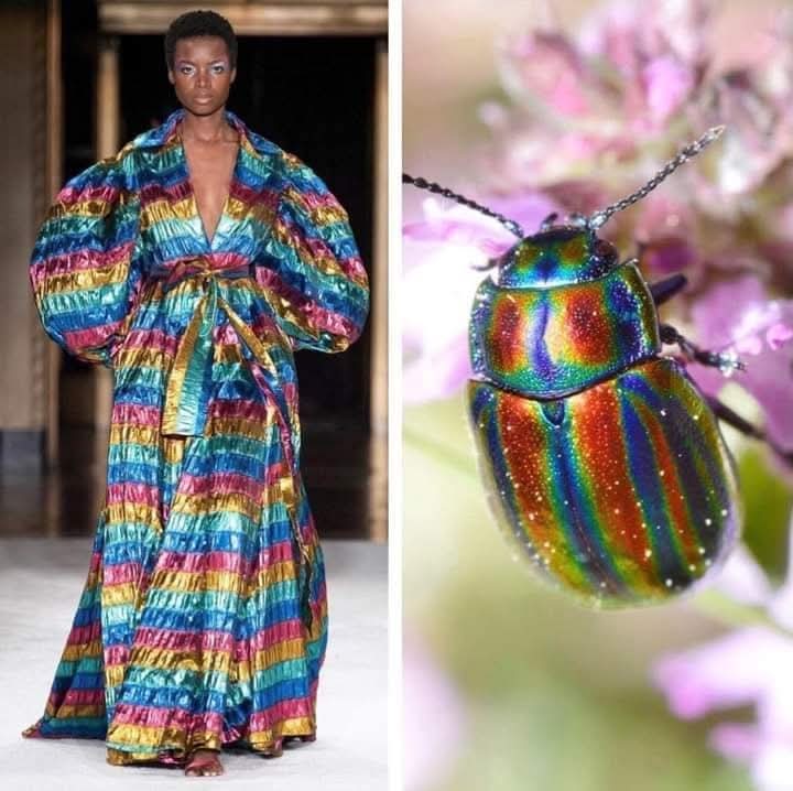 (Cianci Ulises) (@cianciulises) on Twitter photo 