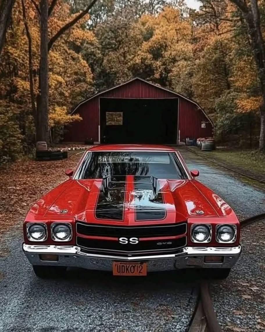 Dope or Nope 🤔