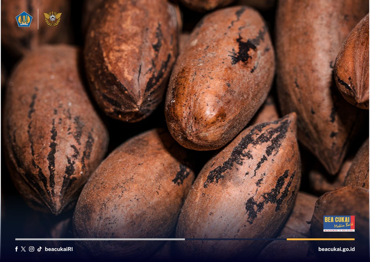 Bea Cukai perkuat sinergi dengan berbagai instansi guna mendorong ekspor nasional, khususnya bagi pelaku UMKM.

Sinergi ini merupakan pengejawantahan tugas dan fungsi Bea Cukai sebagai industrial assistance dan trade facilitator, yang diwujudkan melalui berbagai kegiatan