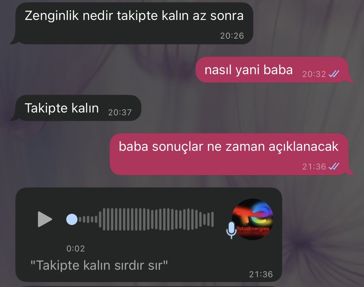 Gizmo (@meovgil) on Twitter photo 