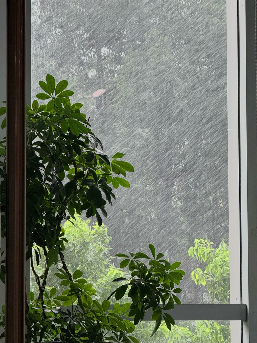 局部阵雨