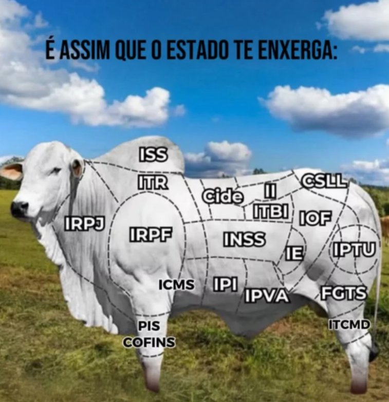 Você aí brigando com sua família e amigos por partidos políticos e seus representantes sociopatas.

Enquanto isso...