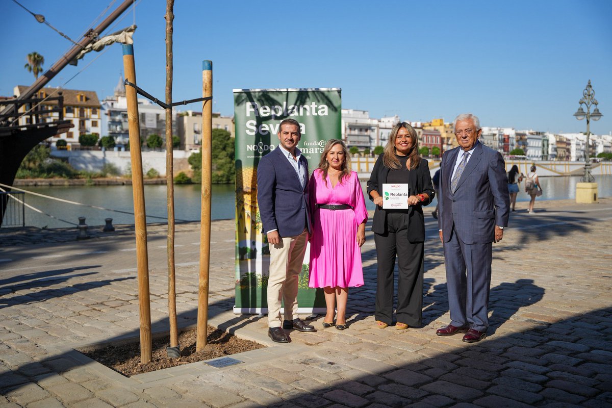 🌳 El <a href="/Ayto_Sevilla/">Ayuntamiento de Sevilla</a> y la <a href="/camaradesevilla/">Cámara de Comercio de Sevilla</a> reconocen a 3 de las empresas que hacen posible #ReplantaSevilla

Con la colocación de las primeras placas conmemorativas, agradecemos la aportación de los que han colaborado con la plantación de más de 200 nuevos árboles en la ciudad.