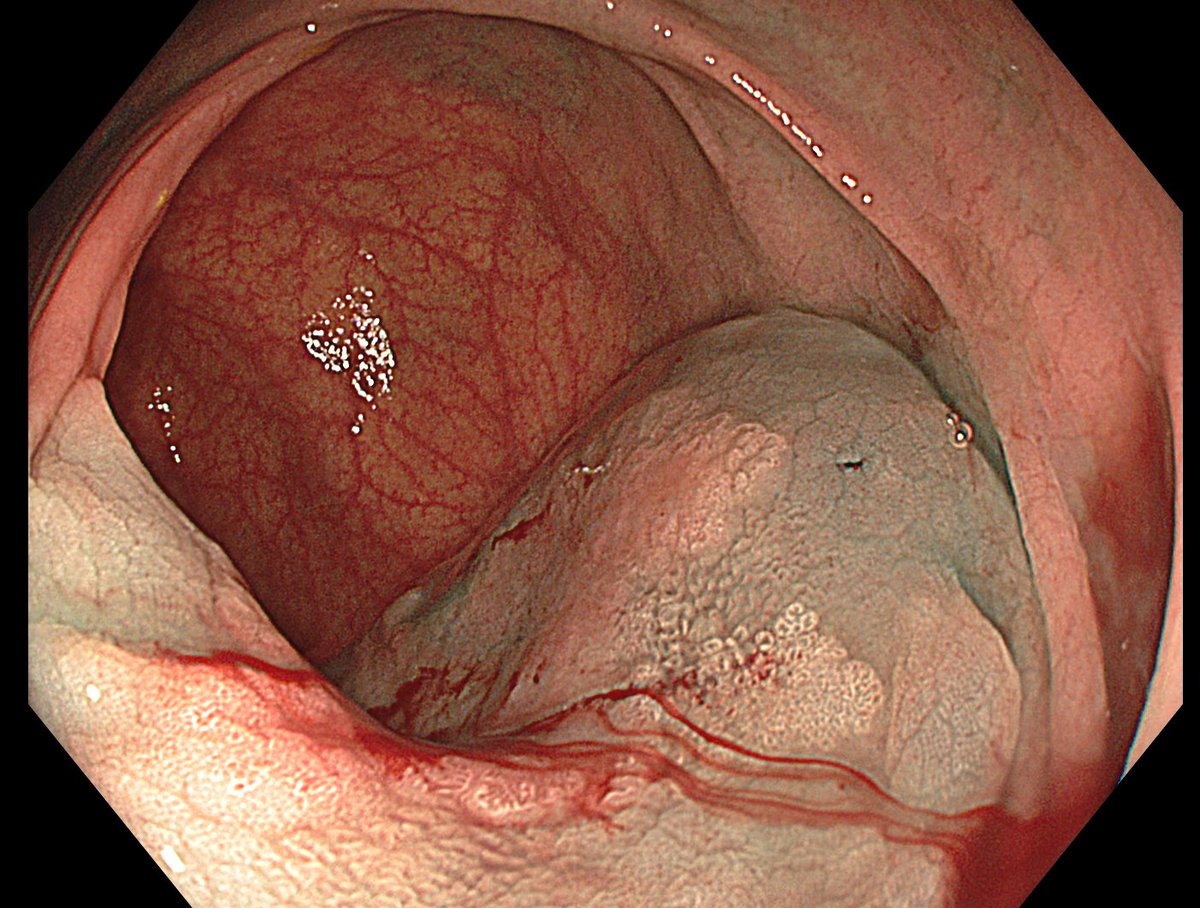 Aleksandar Gavric tweet media