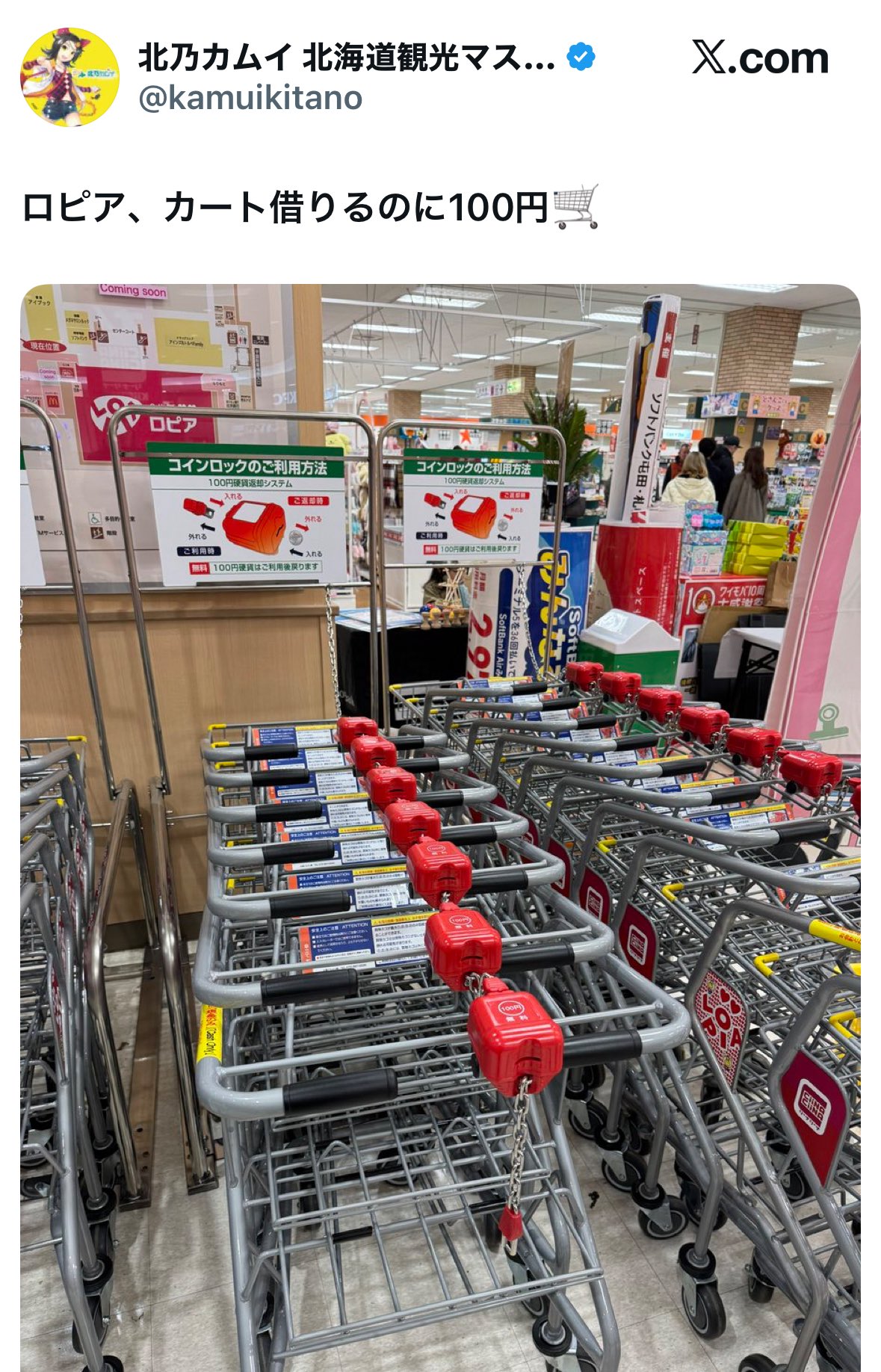 値下げ交渉お待ちしてます！コメント歓迎様お取り置き 楽天市場】【楽天ランキング1位入賞】駐輪禁止 警告下げ札 放置