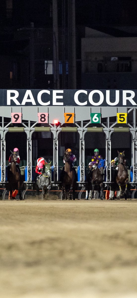 野畑凌 tweet media