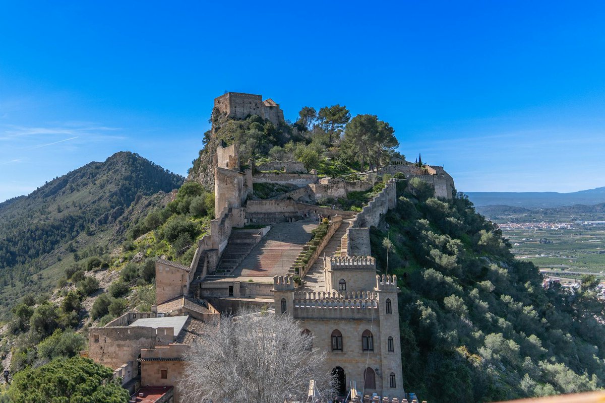 ceartian49075's tweet image. Just dove into the history of the printing press��✨Gutenberg&apos;s 1440s game-changer made knowledge explode! Imagine a world without books on every shelf. Crazy, right? #HistoryOfInventions #Innovation #PrintingPress