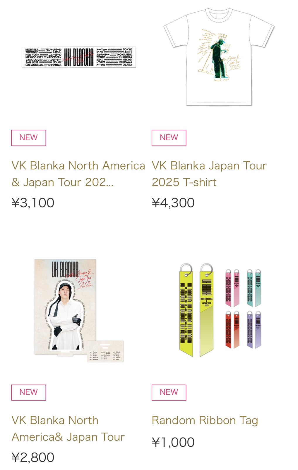 ビッケブランカ VK BLANKA ツアーグッズセット ビッケブランカ