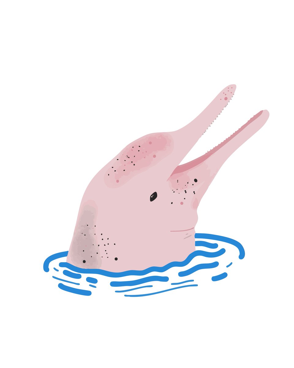 Hace un par de días entregué el Cuadernillo “Biodiversidad y cambio climático en Ecuador”, un proyecto que tuve la alegría de diseñar e ilustrar para UNICEF Ecuador.

📘 Muy pronto estará publicado oficialmente 🤓
<a href="/unicefecuador/">UNICEF Ecuador</a>  <a href="/uniceflac/">UNICEF Latin America</a>