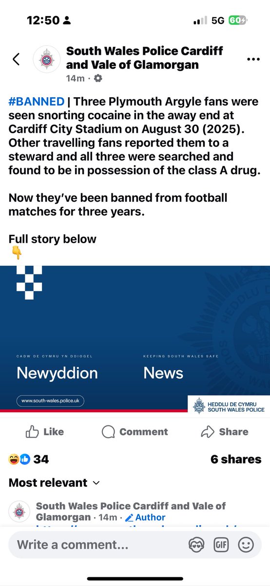 Pieface on the yay❄️🤣