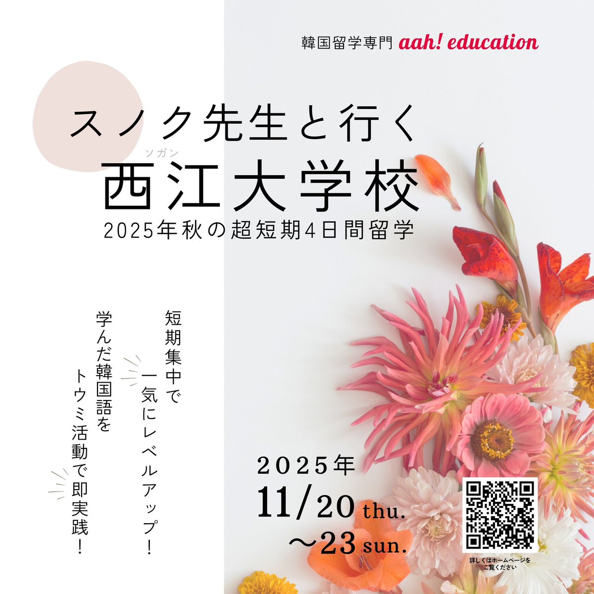 楽天市場】【韓国語教材】西江大 NEW 西江韓国語3A 日本語版 テキスト : 韓国語教材書店ハングルの森 韓国語教育 教材 多数 (西江大 セジョン  HOT Face the Sun など) 韓国語教育 教材 多数 (西江大 セジョン HOT Face the Sun など)