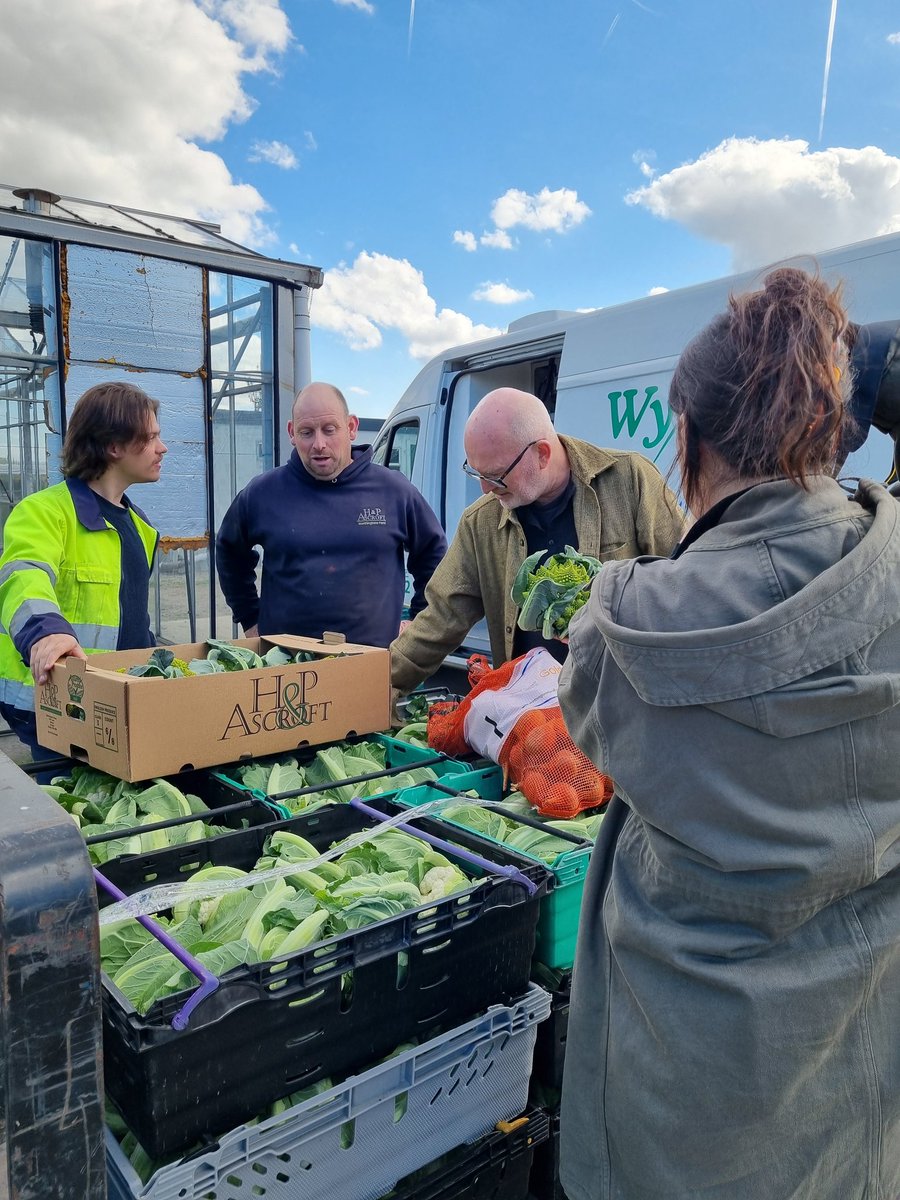 RachelAnne ๐โ tweet media