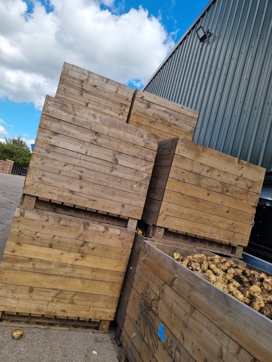 RachelAnne 📚☕ tweet media