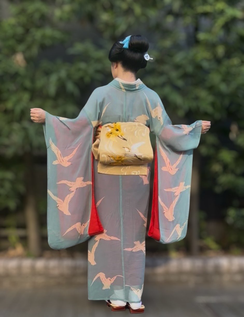 アンティーク着物 ヴィンテージスタイル 黒/ブラック 総レース おしゃれ 今どき