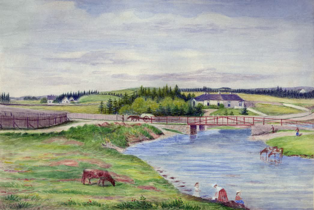 Newfoundland and Labrador History in Color tweet media