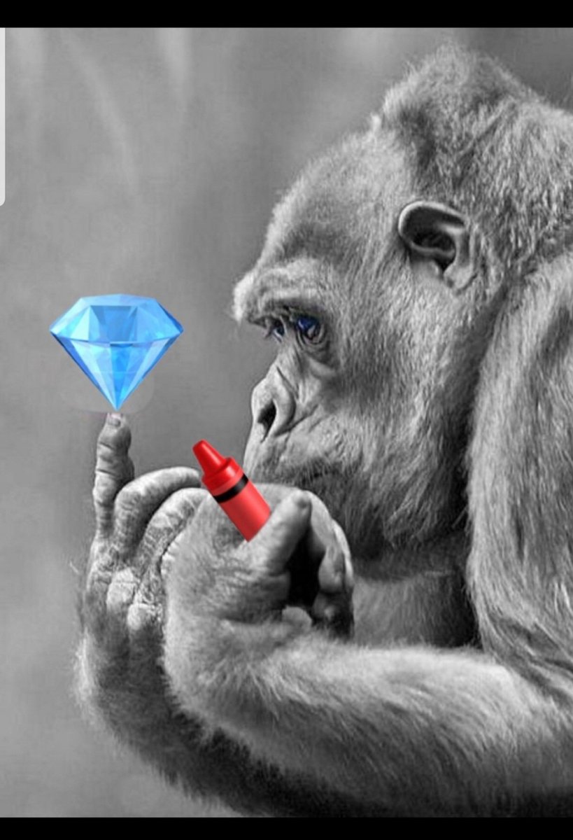 AMC GME DJT HYMC APE NOT LEAVING