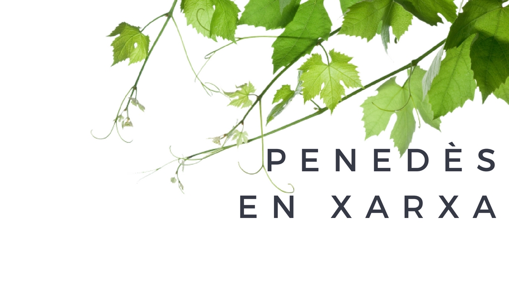 📻 Ens han convidat a 'Territori Penedès' a parlar del #VINSEUM

El nostre granet de sorra per posar en valor el patrimoni del nostre territori! 

rtvvilafranca.cat/programa/pened…