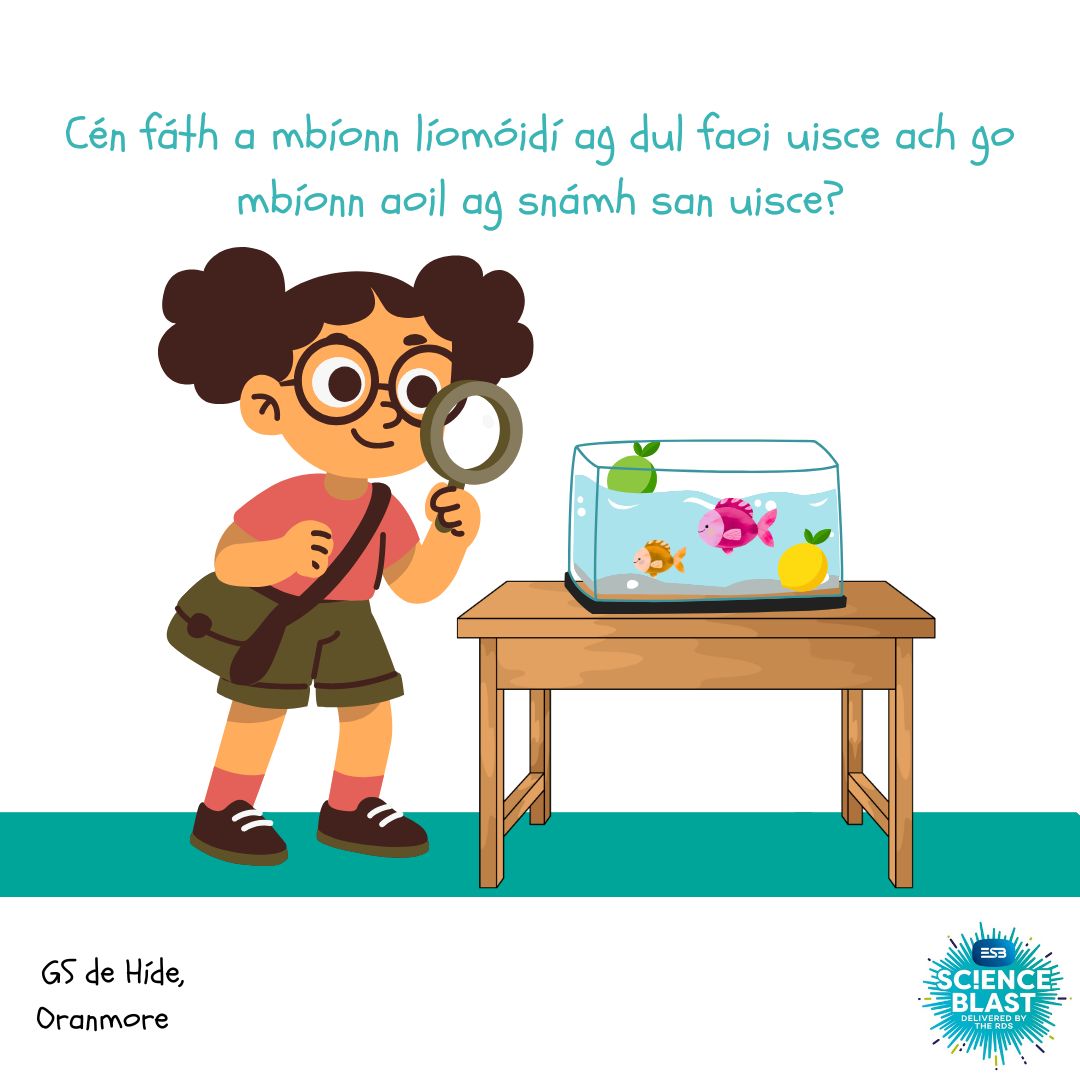 esbscienceblast's tweet image. Comhghairdeas le Rang a 6, GS de hÍde, Oran Mor - ár gcéad tionscadal a cuireadh isteach do 2026! #ESBScienceBlast2026