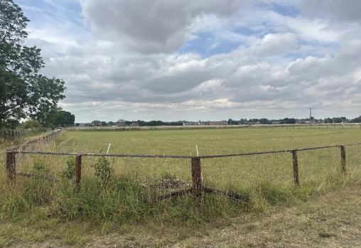 Weldon Beesly tweet media