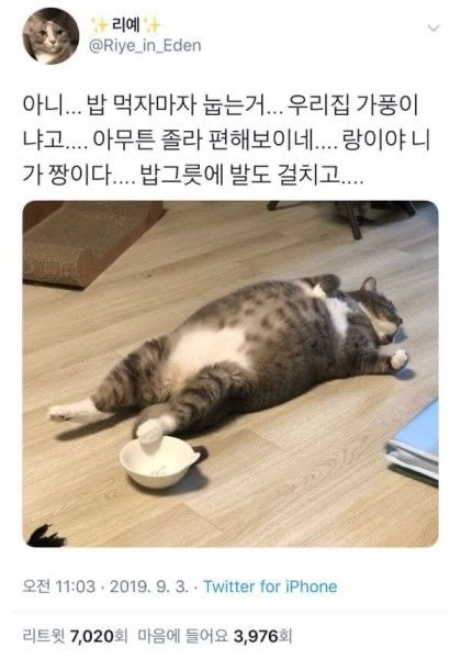 JU콘 ¹⁶,²³➡️🌻🕯🧸🥂복슝ฅʕ•̄*•̄ʔฅ🍋🐇🦋🧶 on X
